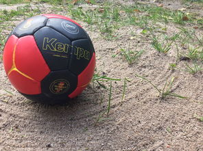 米兰体育app官网-“沙滩赛场燃爆天府新区，沙滩手球和合球上演极限对决”