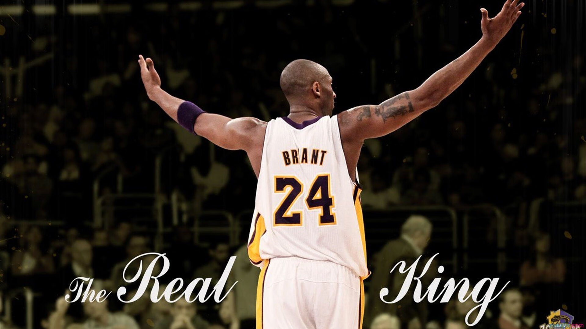 全国青少年三大球技能挑战赛 平均水平均有可喜提升